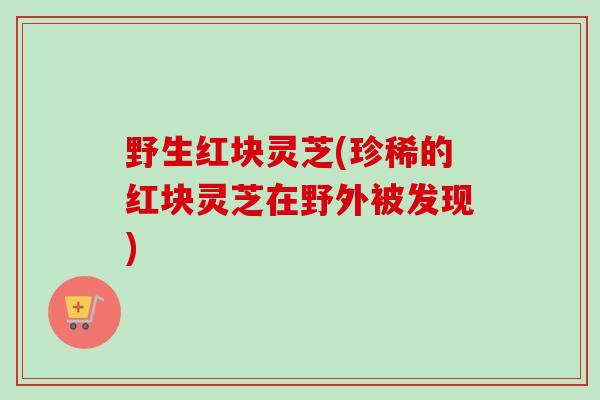 野生红块灵芝(珍稀的红块灵芝在野外被发现) 野生红块灵芝(珍稀的红块灵芝在野外被发现)