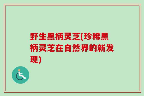 野生黑柄灵芝(珍稀黑柄灵芝在自然界的新发现) 野生黑柄灵芝(珍稀黑柄灵芝在自然界的新发现)