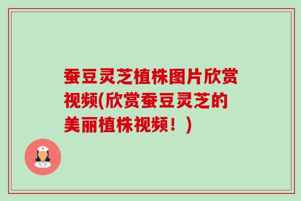 蚕豆灵芝植株图片欣赏视频(欣赏蚕豆灵芝的美丽植株视频!) 蚕豆灵芝植株图片欣赏视频(欣赏蚕豆灵芝的美丽植株视频!)