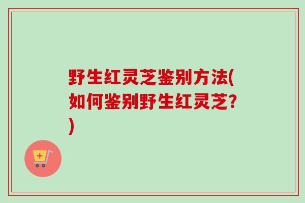 野生红灵芝鉴别方法(如何鉴别野生红灵芝?) 野生红灵芝鉴别方法(如何鉴别野生红灵芝?)