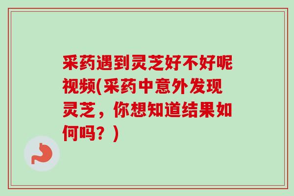 采药遇到灵芝好不好呢视频(采药中意外发现灵芝，你想知道结果如何吗？)