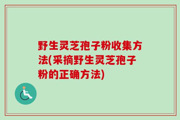 野生灵芝孢子粉收集方法(采摘野生灵芝孢子粉的正确方法) 野生灵芝孢子粉收集方法(采摘野生灵芝孢子粉的正确方法)