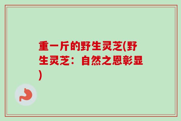 重一斤的野生灵芝(野生灵芝:自然之恩彰显) 重一斤的野生灵芝(野生灵芝:自然之恩彰显)