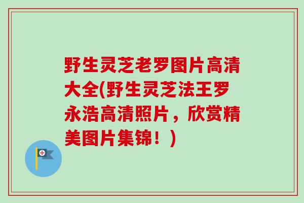 野生灵芝老罗图片高清大全(野生灵芝法王罗永浩高清照片,欣赏精美图片集锦!) 野生灵芝老罗图片高清大全(野生灵芝法王罗永浩高清照片,欣赏精美图片集锦!)
