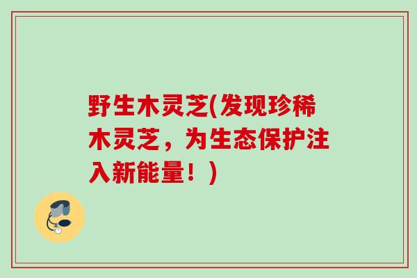野生木灵芝(发现珍稀木灵芝，为生态保护注入新能量！)