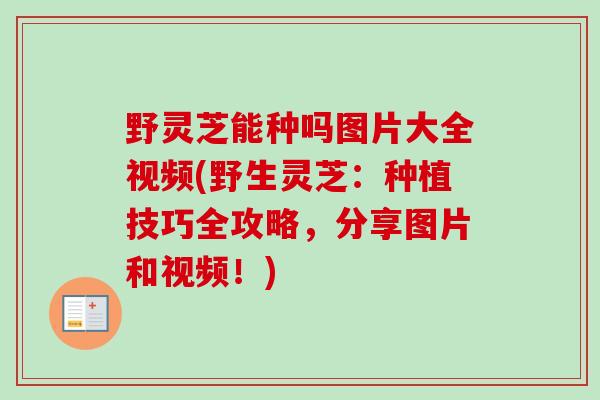 野灵芝能种吗图片大全视频(野生灵芝:种植技巧全攻略,分享图片和视频!) 野灵芝能种吗图片大全视频(野生灵芝:种植技巧全攻略,分享图片和视频!)