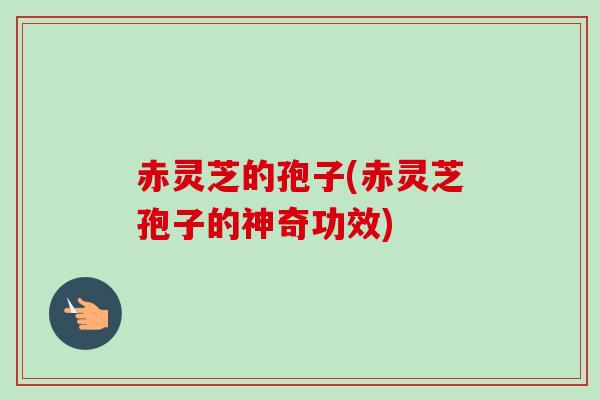 赤灵芝的孢子(赤灵芝孢子的神奇功效) 赤灵芝的孢子(赤灵芝孢子的神奇功效)