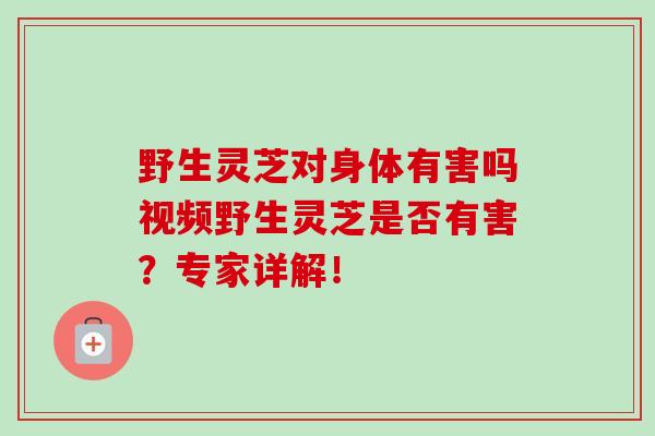 野生灵芝对身体有害吗视频野生灵芝是否有害？专家详解！