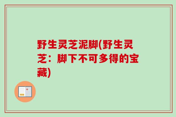 野生灵芝泥脚(野生灵芝:脚下不可多得的宝藏) 野生灵芝泥脚(野生灵芝:脚下不可多得的宝藏)