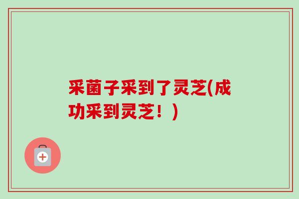 采菌子采到了灵芝(成功采到灵芝!) 采菌子采到了灵芝(成功采到灵芝!)