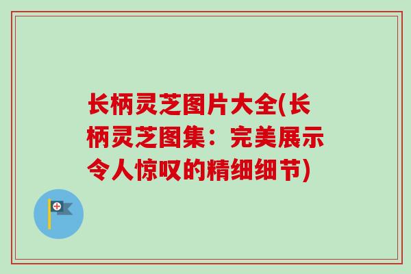 长柄灵芝图片大全(长柄灵芝图集：完美展示令人惊叹的精细细节)