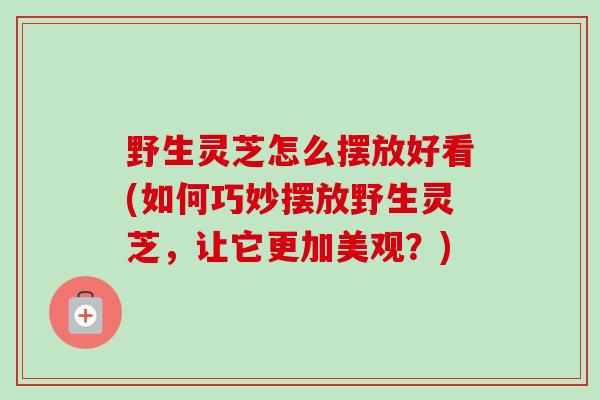 野生灵芝怎么摆放好看(如何巧妙摆放野生灵芝,让它更加美观?) 野生灵芝怎么摆放好看(如何巧妙摆放野生灵芝,让它更加美观?)