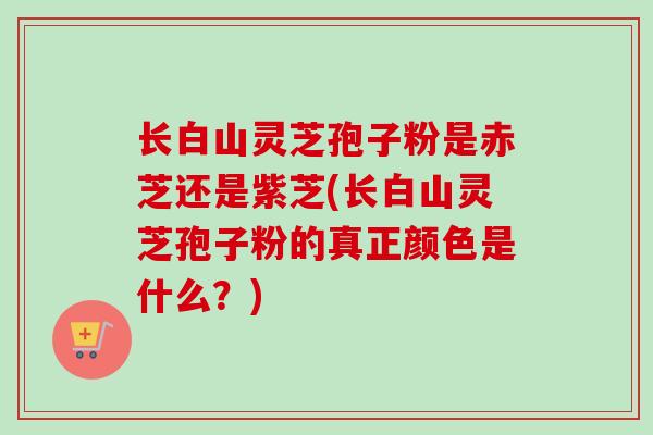 长白山灵芝孢子粉是赤芝还是紫芝(长白山灵芝孢子粉的真正颜色是什么？)