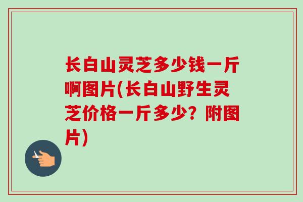 长白山灵芝多少钱一斤啊图片(长白山野生灵芝价格一斤多少?附图片) 长白山灵芝多少钱一斤啊图片(长白山野生灵芝价格一斤多少?附图片)