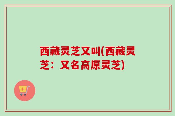 西藏灵芝又叫(西藏灵芝：又名高原灵芝)