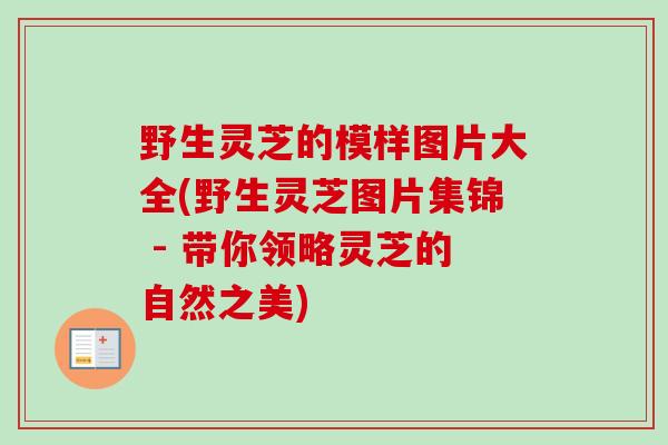 野生灵芝的模样图片大全(野生灵芝图片集锦 - 带你领略灵芝的自然之美) 野生灵芝的模样图片大全(野生灵芝图片集锦 - 带你领略灵芝的自然之美)