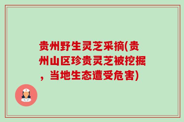 贵州野生灵芝采摘(贵州山区珍贵灵芝被挖掘，当地生态遭受危害)
