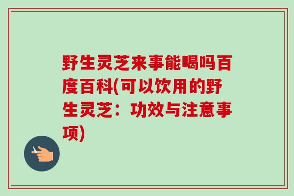 野生灵芝来事能喝吗百度百科(可以饮用的野生灵芝:功效与注意事项) 野生灵芝来事能喝吗百度百科(可以饮用的野生灵芝:功效与注意事项)