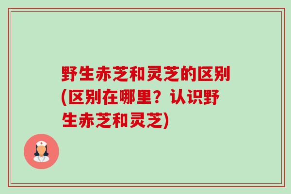 野生赤芝和灵芝的区别(区别在哪里?认识野生赤芝和灵芝) 野生赤芝和灵芝的区别(区别在哪里?认识野生赤芝和灵芝)