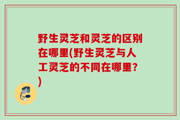 野生灵芝和灵芝的区别在哪里(野生灵芝与人工灵芝的不同在哪里？)