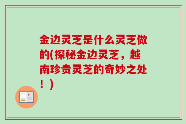 金边灵芝是什么灵芝做的(探秘金边灵芝，越南珍贵灵芝的奇妙之处！)