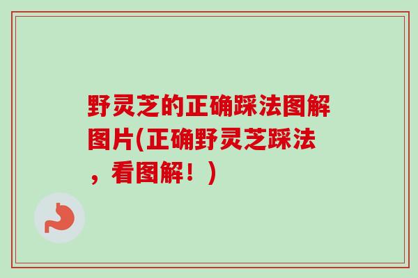 野灵芝的正确踩法图解图片(正确野灵芝踩法,看图解!) 野灵芝的正确踩法图解图片(正确野灵芝踩法,看图解!)