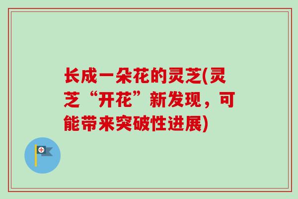长成一朵花的灵芝(灵芝“开花”新发现,可能带来突破性进展) 长成一朵花的灵芝(灵芝“开花”新发现,可能带来突破性进展)