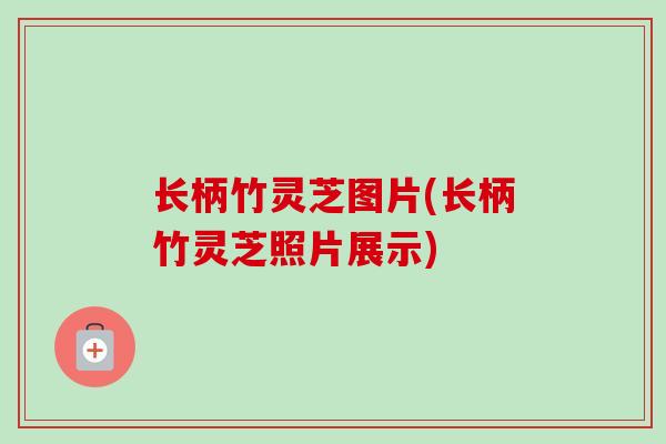 长柄竹灵芝图片(长柄竹灵芝照片展示)