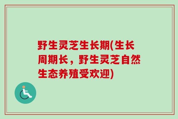 野生灵芝生长期(生长周期长，野生灵芝自然生态养殖受欢迎)