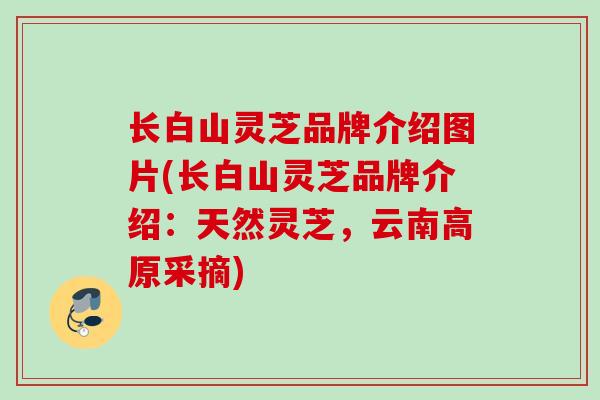 长白山灵芝品牌介绍图片(长白山灵芝品牌介绍：天然灵芝，云南高原采摘)