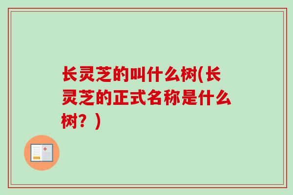 长灵芝的叫什么树(长灵芝的正式名称是什么树？)