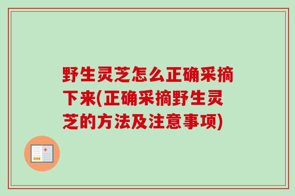 野生灵芝怎么正确采摘下来(正确采摘野生灵芝的方法及注意事项) 野生灵芝怎么正确采摘下来(正确采摘野生灵芝的方法及注意事项)