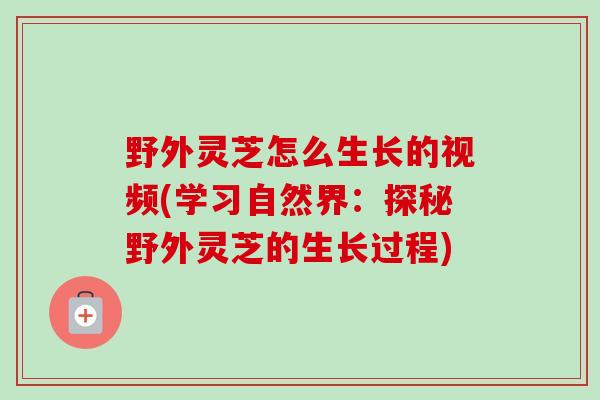 野外灵芝怎么生长的视频(学习自然界：探秘野外灵芝的生长过程)