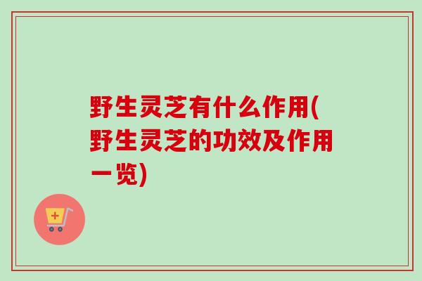 野生灵芝有什么作用(野生灵芝的功效及作用一览) 野生灵芝有什么作用(野生灵芝的功效及作用一览)