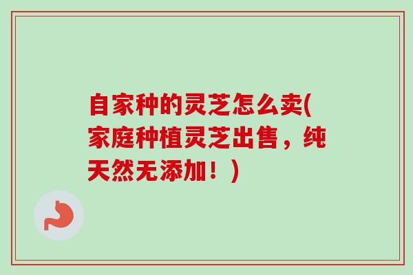 自家种的灵芝怎么卖(家庭种植灵芝出售,纯天然无添加!) 自家种的灵芝怎么卖(家庭种植灵芝出售,纯天然无添加!)
