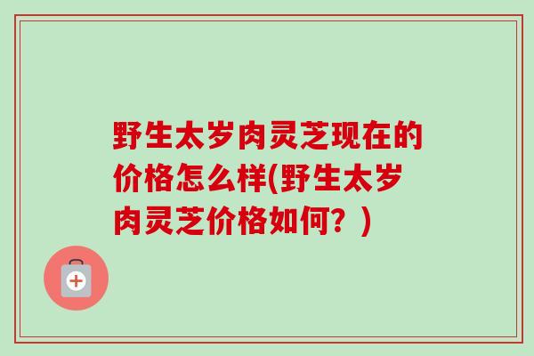 野生太岁肉灵芝现在的价格怎么样(野生太岁肉灵芝价格如何？)