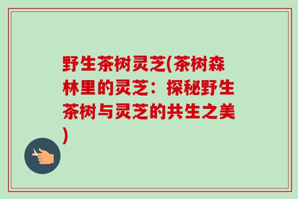 野生茶树灵芝(茶树森林里的灵芝：探秘野生茶树与灵芝的共生之美)