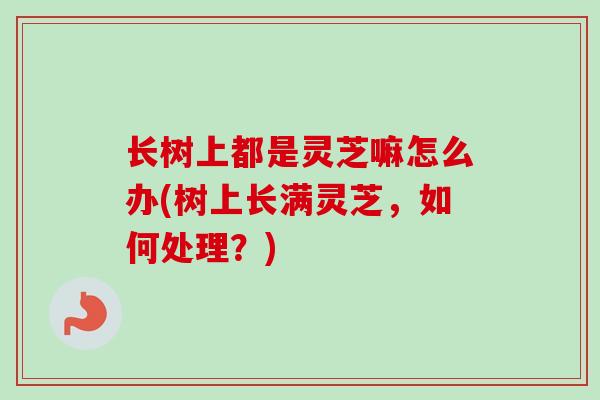 长树上都是灵芝嘛怎么办(树上长满灵芝,如何处理?) 长树上都是灵芝嘛怎么办(树上长满灵芝,如何处理?)