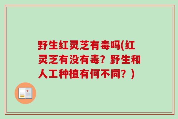 野生红灵芝有毒吗(红灵芝有没有毒?野生和人工种植有何不同?) 野生红灵芝有毒吗(红灵芝有没有毒?野生和人工种植有何不同?)