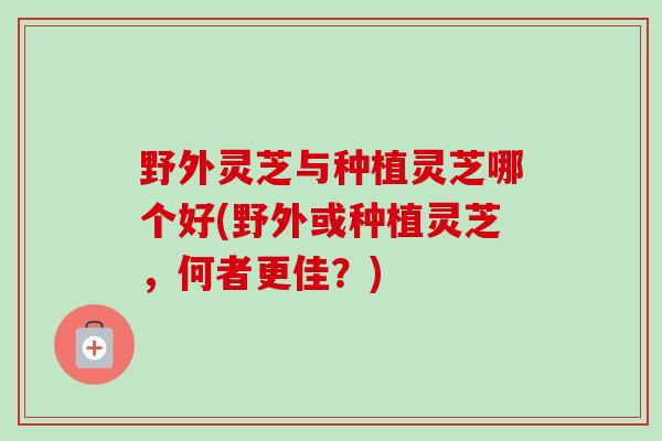 野外灵芝与种植灵芝哪个好(野外或种植灵芝，何者更佳？)