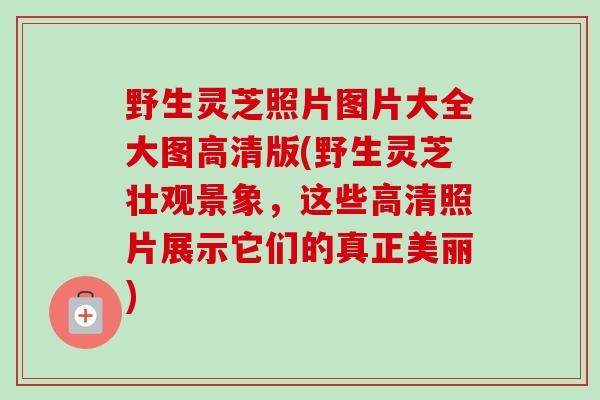 野生灵芝照片图片大全大图高清版(野生灵芝壮观景象，这些高清照片展示它们的真正美丽)