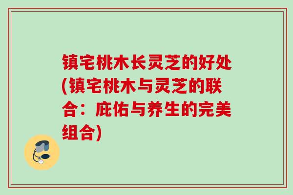 镇宅桃木长灵芝的好处(镇宅桃木与灵芝的联合:庇佑与养生的完美组合) 镇宅桃木长灵芝的好处(镇宅桃木与灵芝的联合:庇佑与养生的完美组合)