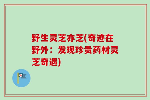 野生灵芝亦芝(奇迹在野外：发现珍贵药材灵芝奇遇)