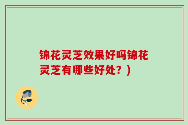锦花灵芝效果好吗锦花灵芝有哪些好处?) 锦花灵芝效果好吗锦花灵芝有哪些好处?)