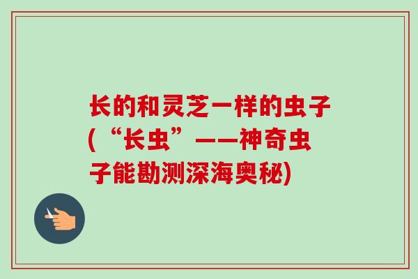 长的和灵芝一样的虫子(“长虫”——神奇虫子能勘测深海奥秘) 长的和灵芝一样的虫子(“长虫”——神奇虫子能勘测深海奥秘)