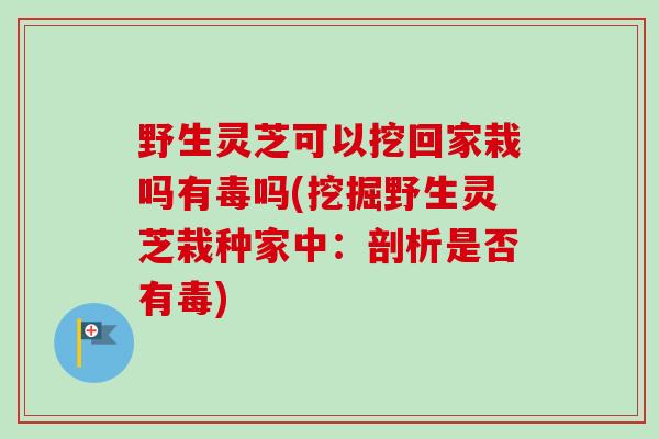野生灵芝可以挖回家栽吗有毒吗(挖掘野生灵芝栽种家中:剖析是否有毒) 野生灵芝可以挖回家栽吗有毒吗(挖掘野生灵芝栽种家中:剖析是否有毒)