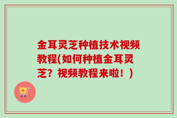 金耳灵芝种植技术视频教程(如何种植金耳灵芝？视频教程来啦！)