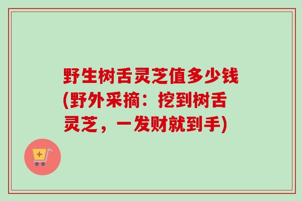 野生树舌灵芝值多少钱(野外采摘:挖到树舌灵芝,一发财就到手) 野生树舌灵芝值多少钱(野外采摘:挖到树舌灵芝,一发财就到手)