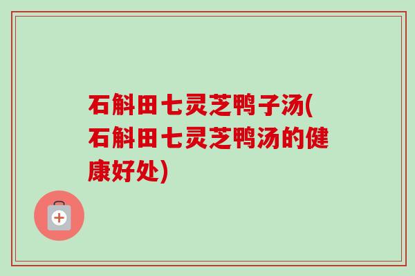 石斛田七灵芝鸭子汤(石斛田七灵芝鸭汤的健康好处)