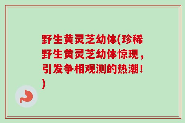 野生黄灵芝幼体(珍稀野生黄灵芝幼体惊现，引发争相观测的热潮！)